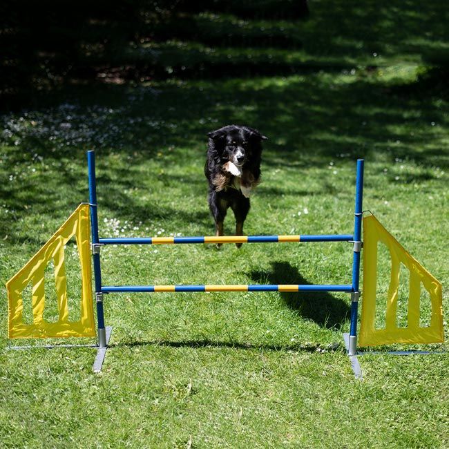 Agility Hürde Mobil